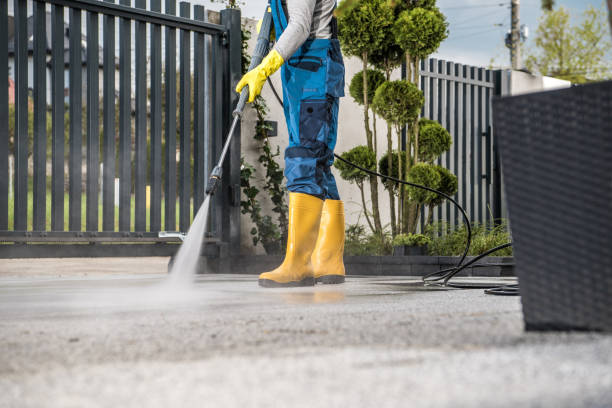 Best Driveway Pressure Washing  in Monessen, PA